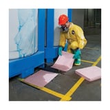 PIG_MAT309_2.jpg