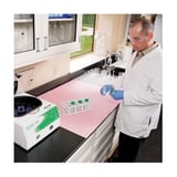PIG_MAT309_4.jpg