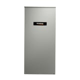 Generac_RTSW100G3.jpg