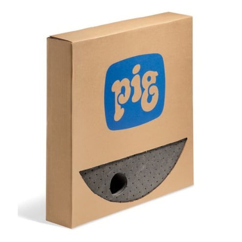 PIG_MAT255.jpg