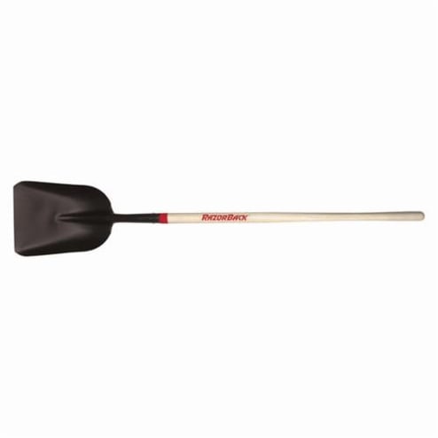 Razor-Back_50140.jpg