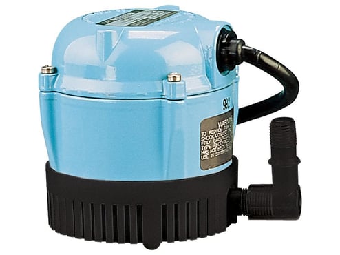LittleGIANT_501003.jpg